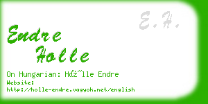 endre holle business card